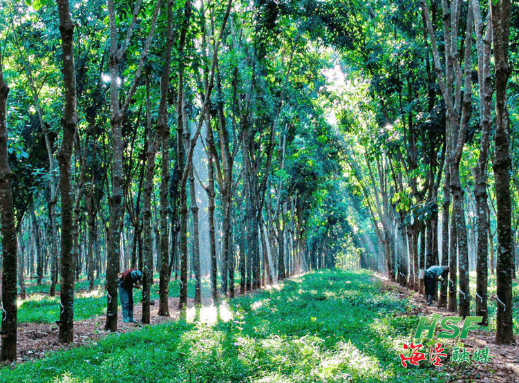 07af25d1864d41a4b0449dee684d972a