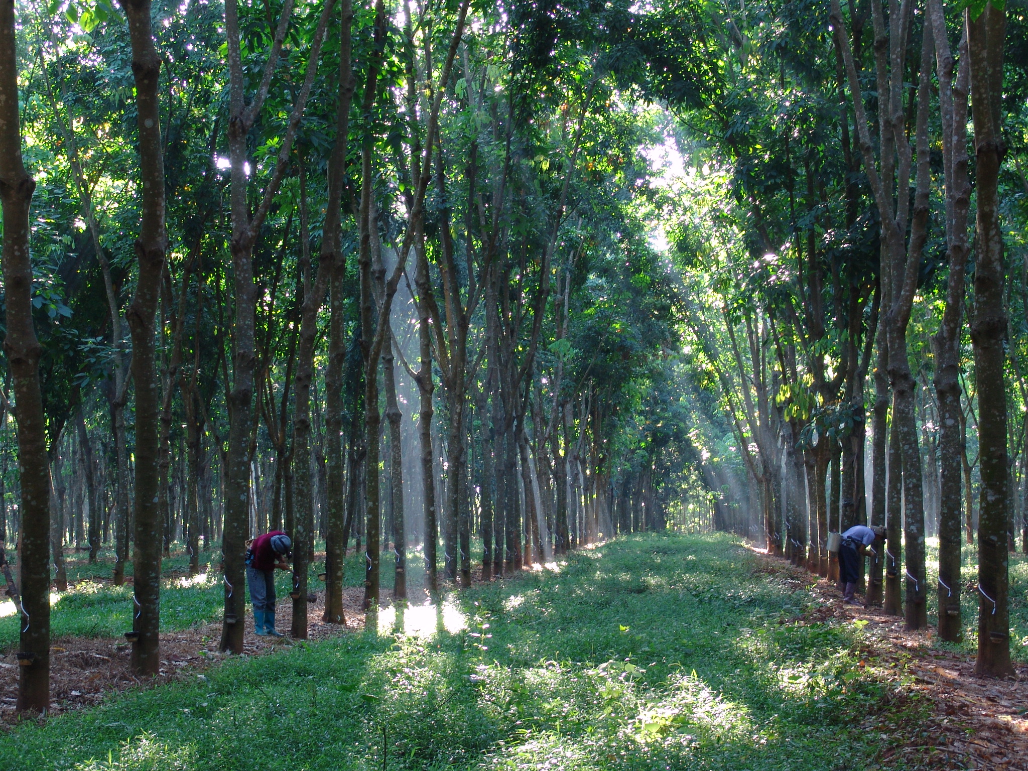 207eb911e2614cb8a441398faae73b64