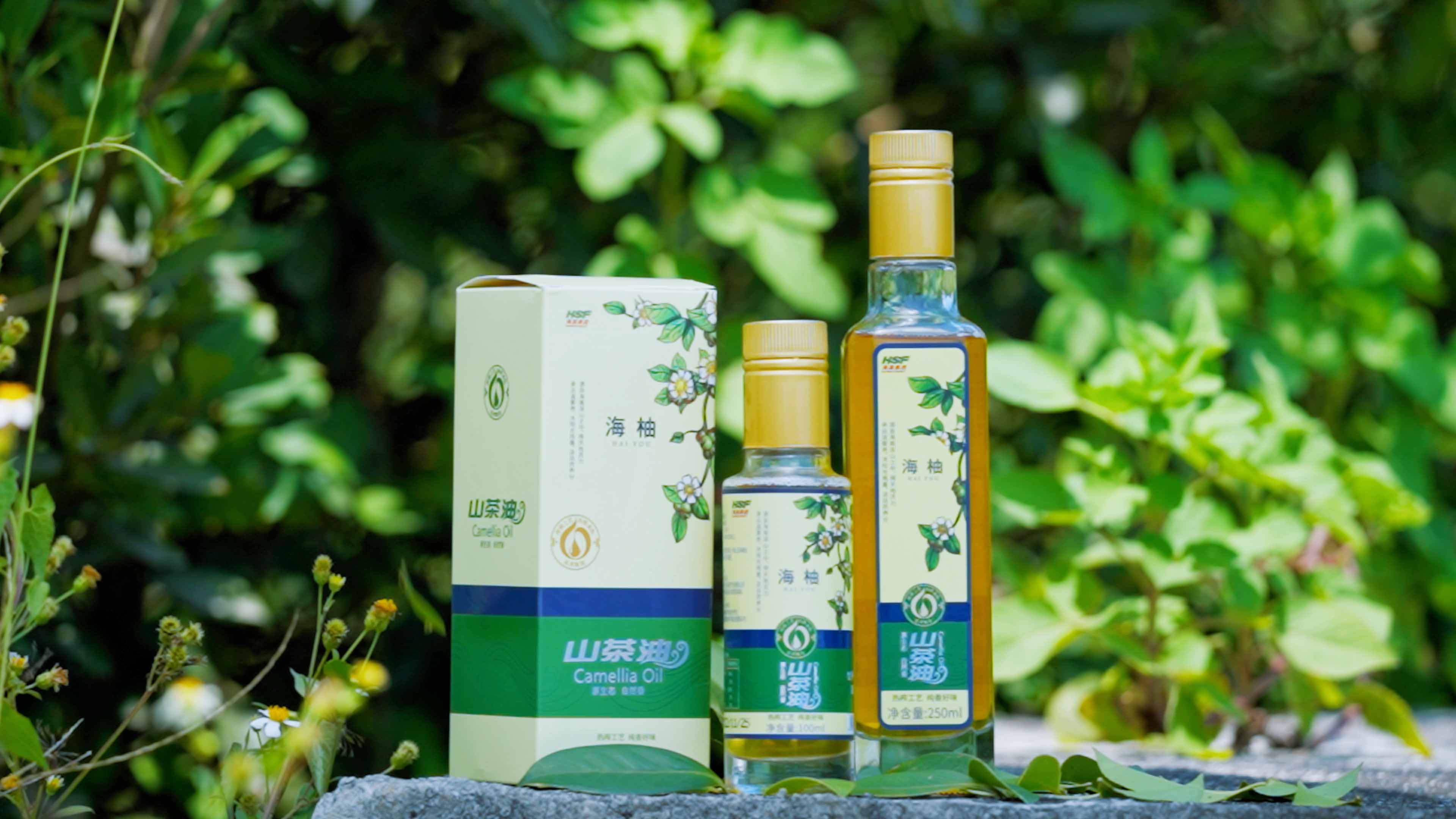 今年会乐香山茶油