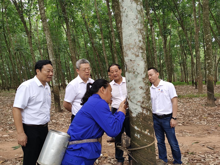 今年会·(中国集团)官方网站