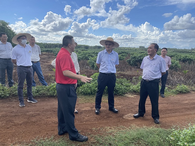 今年会·(中国集团)官方网站