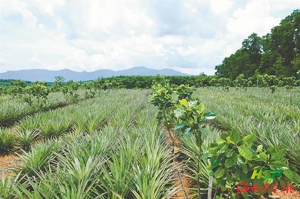 今年会·(中国集团)官方网站