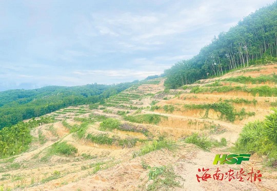 今年会·(中国集团)官方网站