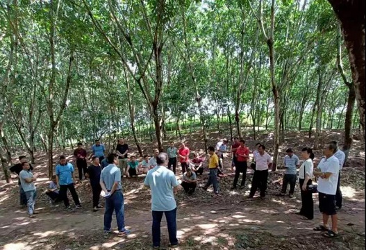 今年会·(中国集团)官方网站