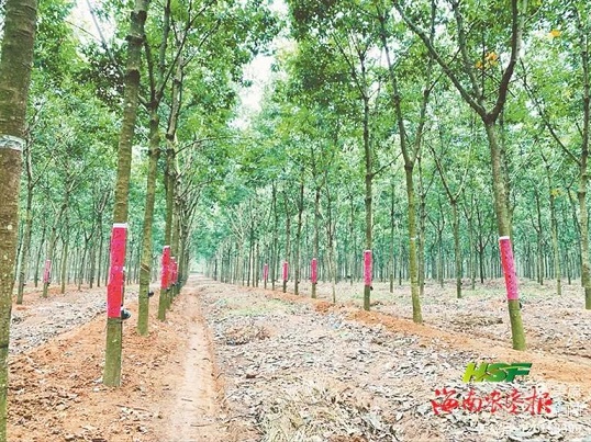 今年会·(中国集团)官方网站