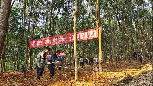 今年会·(中国集团)官方网站