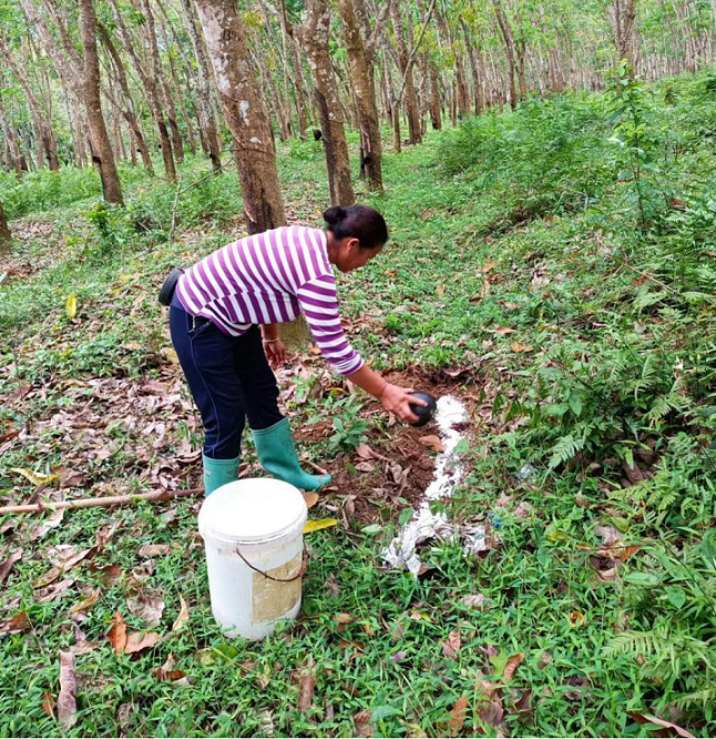 今年会·(中国集团)官方网站