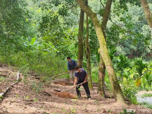 今年会·(中国集团)官方网站