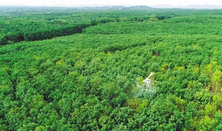 今年会·(中国集团)官方网站