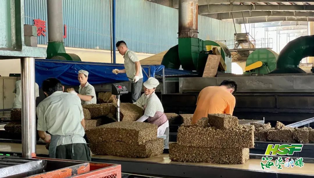 今年会·(中国集团)官方网站