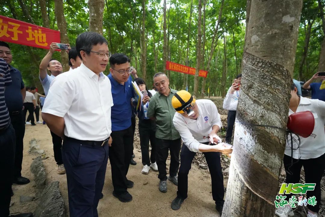 今年会·(中国集团)官方网站