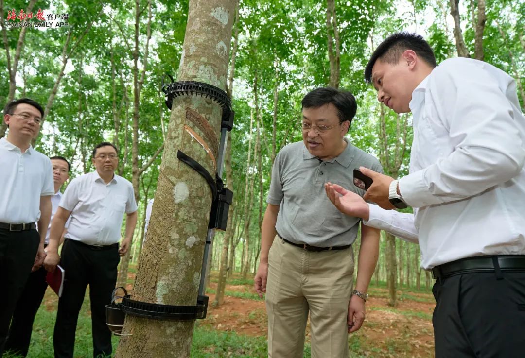 今年会·(中国集团)官方网站