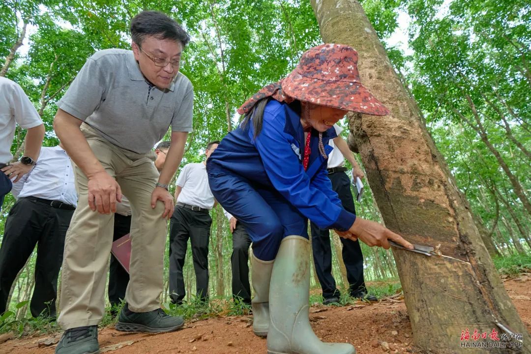 今年会·(中国集团)官方网站