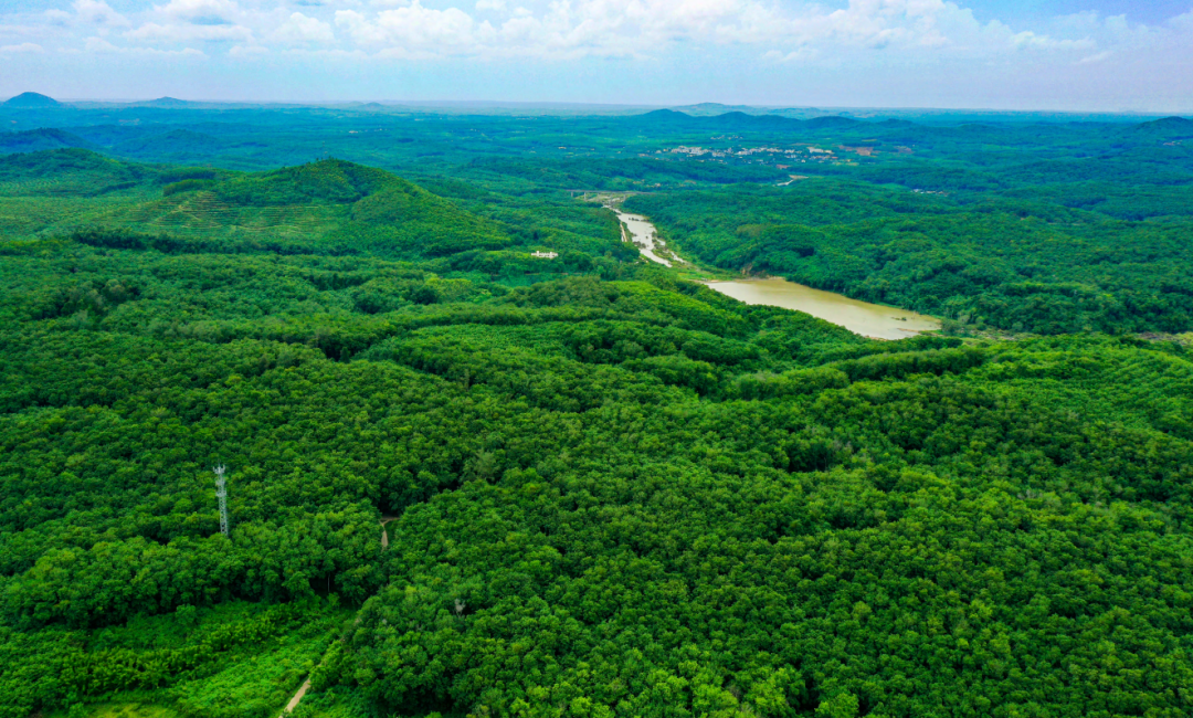 今年会·(中国集团)官方网站