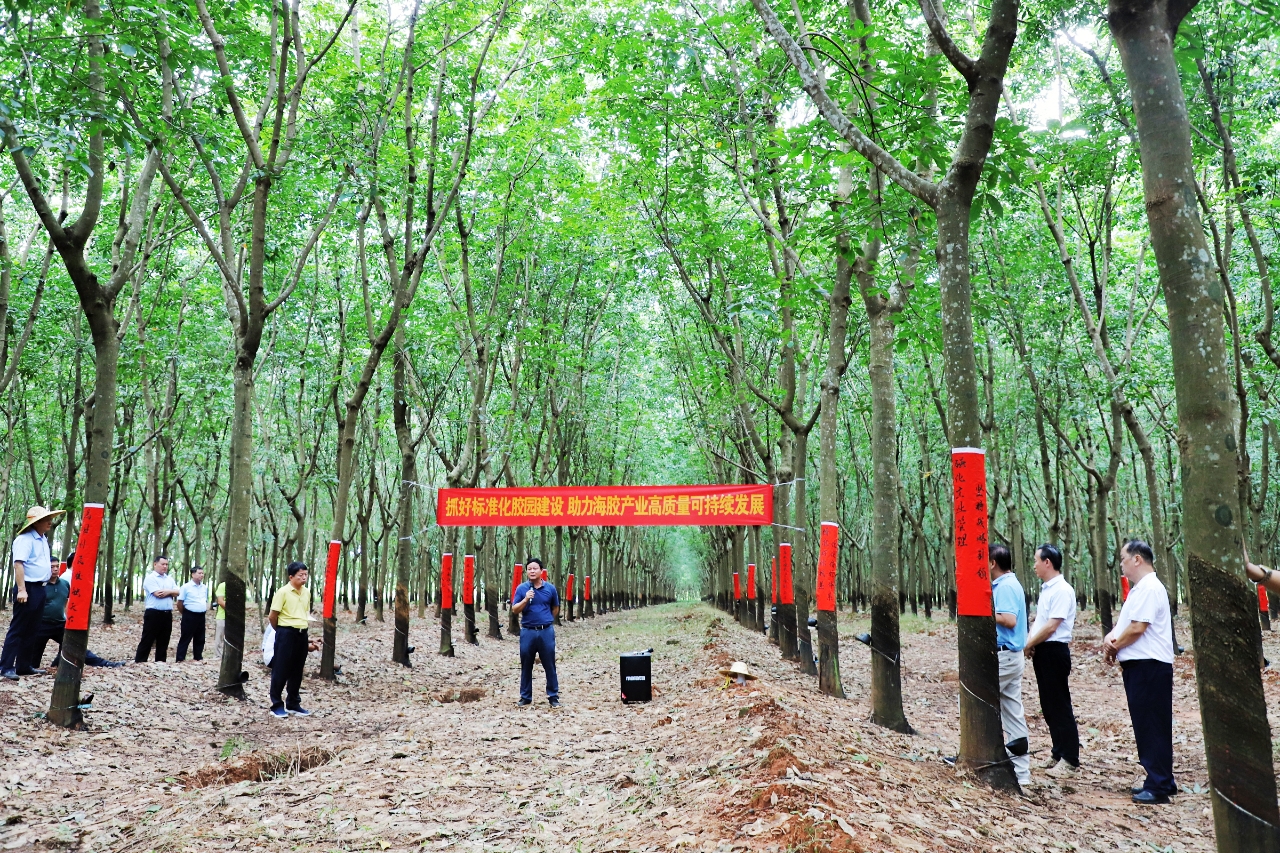 今年会·(中国集团)官方网站