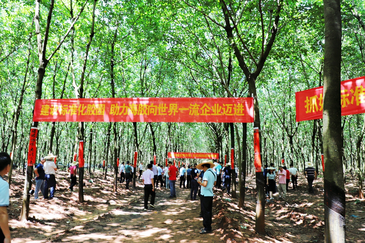 今年会·(中国集团)官方网站