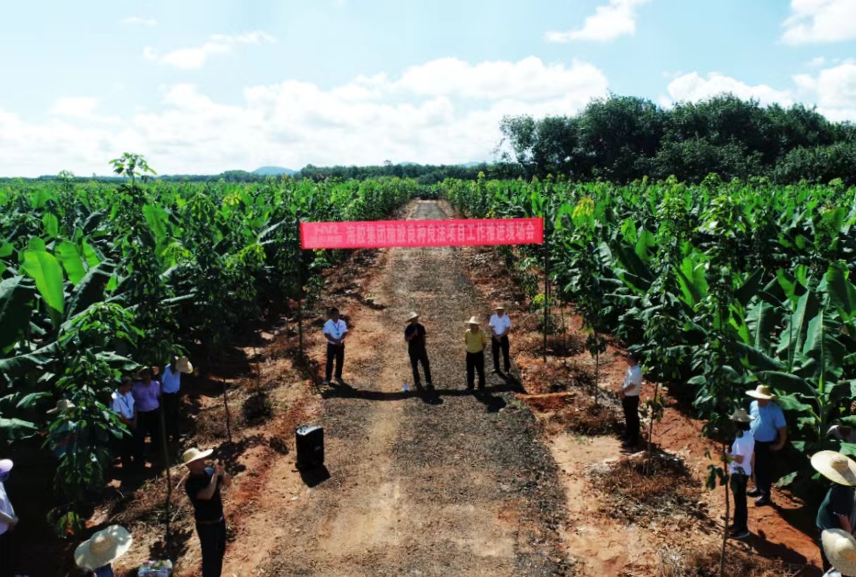今年会·(中国集团)官方网站