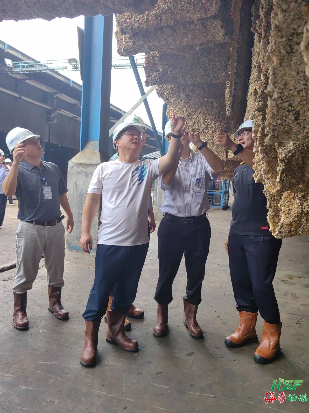 包洪文一行调研合盛农业SGO加工厂。。。