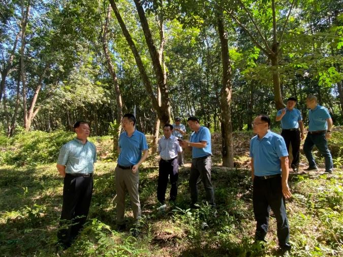 今年会·(中国集团)官方网站