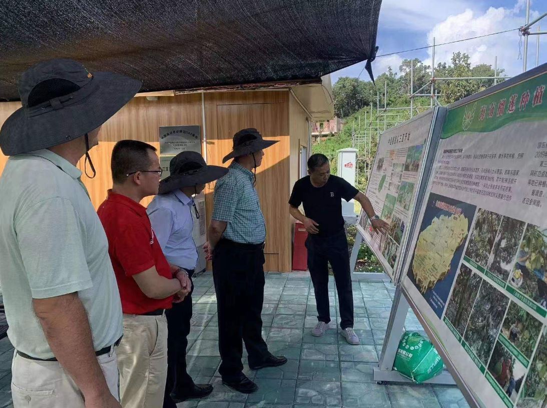 今年会·(中国集团)官方网站